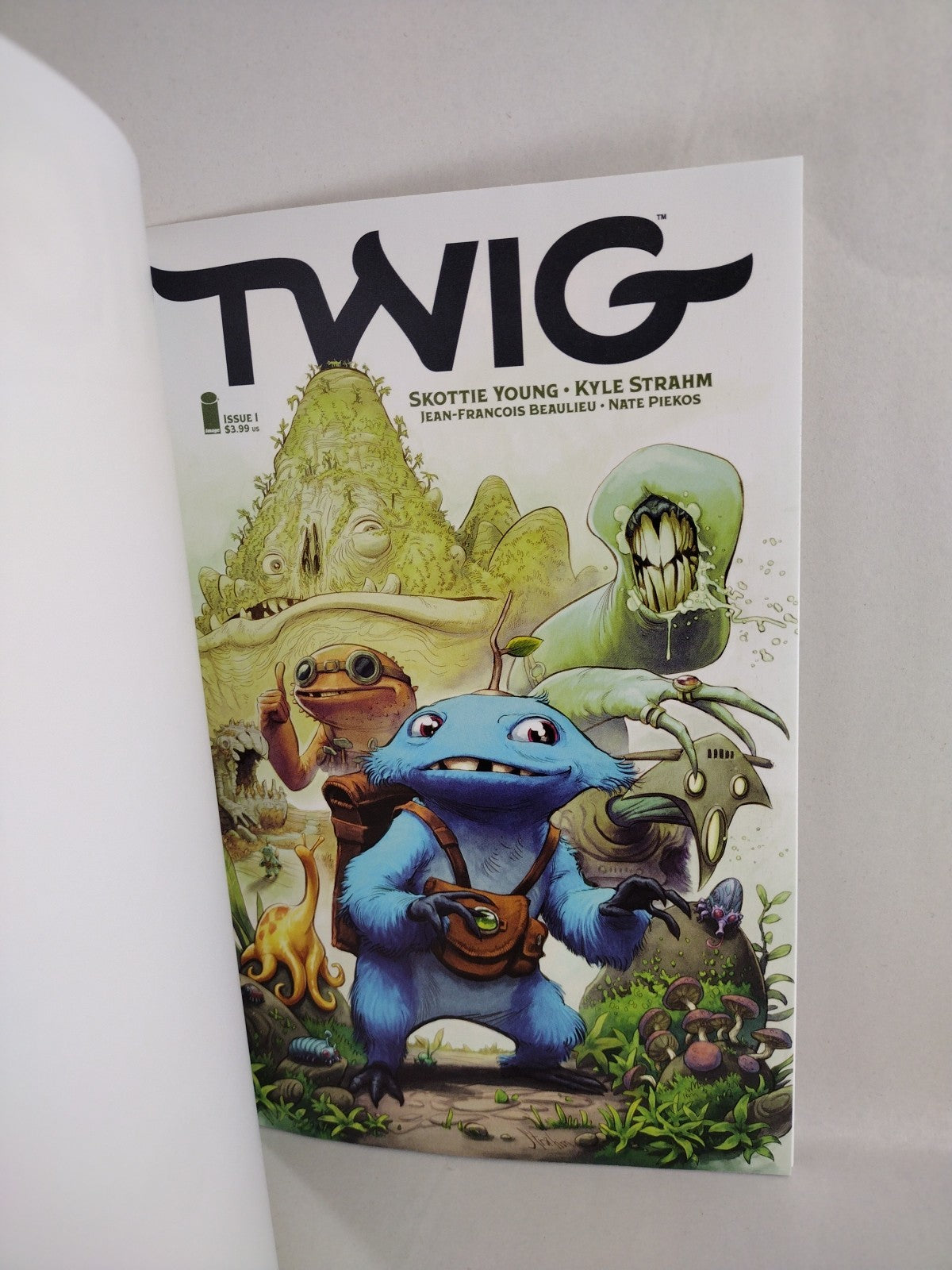 Twig #1 (2022) Image Blank Cover Variant Comic New NM