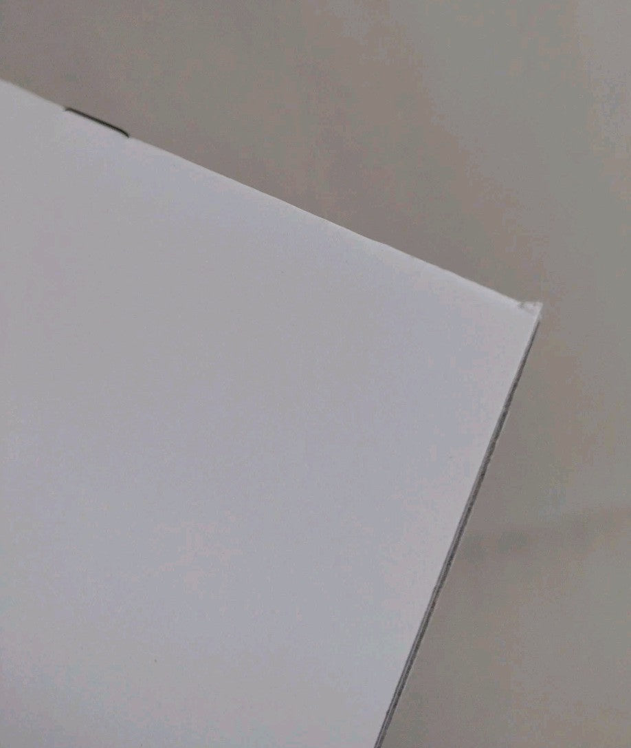 Zorro Flights #1 (2021) American Mythology Blank Sketch Cover Variant Comic NM