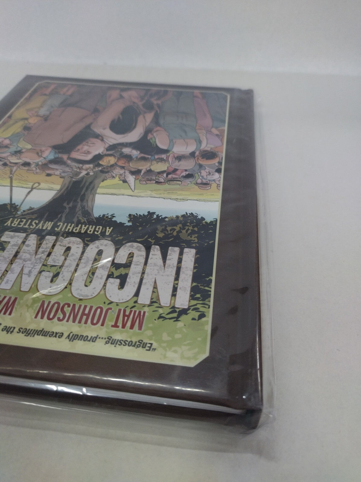 Incognegro A Graphic Mystery (2020) Dark Horse HC Mat Johnson Warren Pleece New 