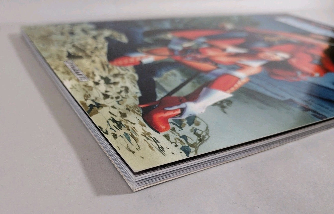 Lady Rawhide Lady Zorro: Outlaw Blood (2015) Dynamite Comics TPB SC New 