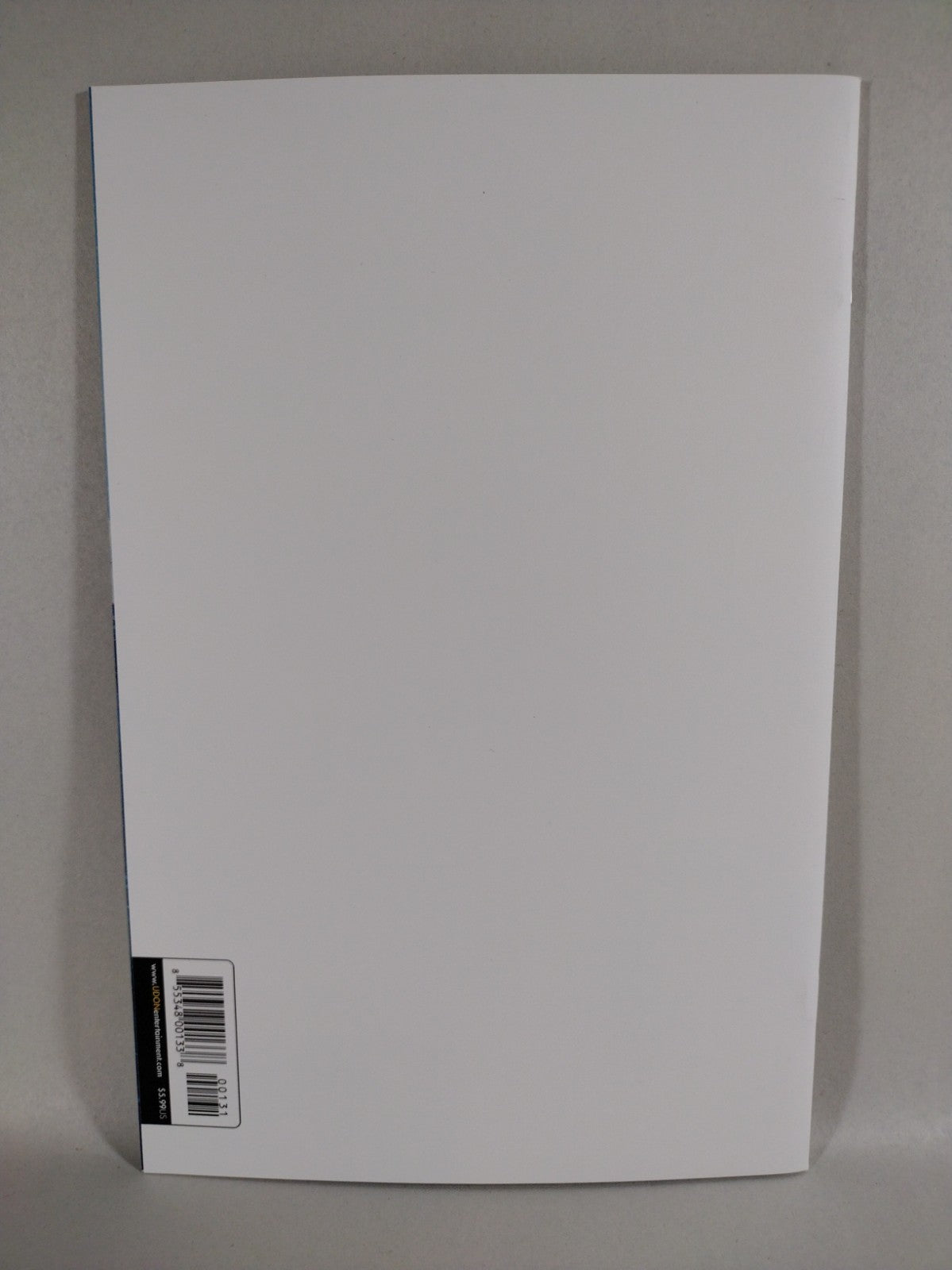 Darkstalkers Felicia #1 (2023) Udon Capcom Blank Sketch Cover New NM