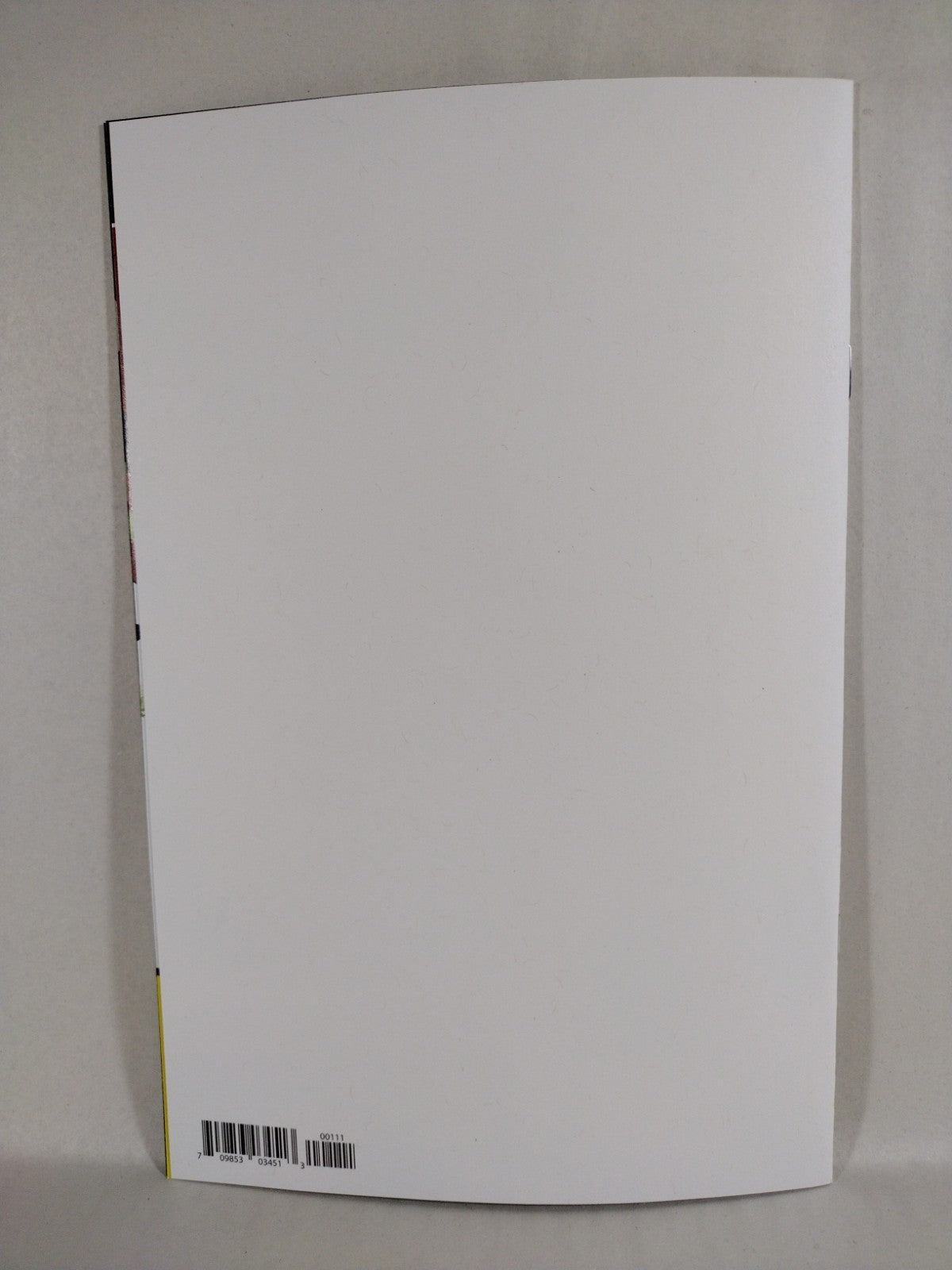 Spawn 30th Anniversary #1 (2022) Image Comic Blank Cover Variant New NM 