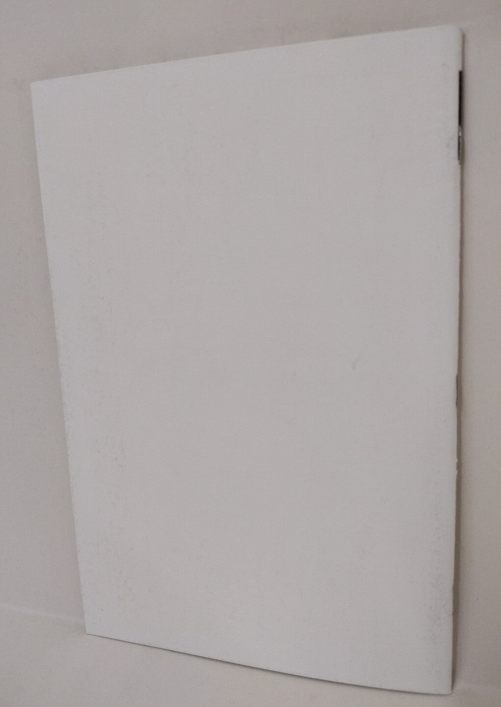 Tank Girl Two Girls One Tank #1 (2016) Blank Cover Comic W Original Art ARG COA