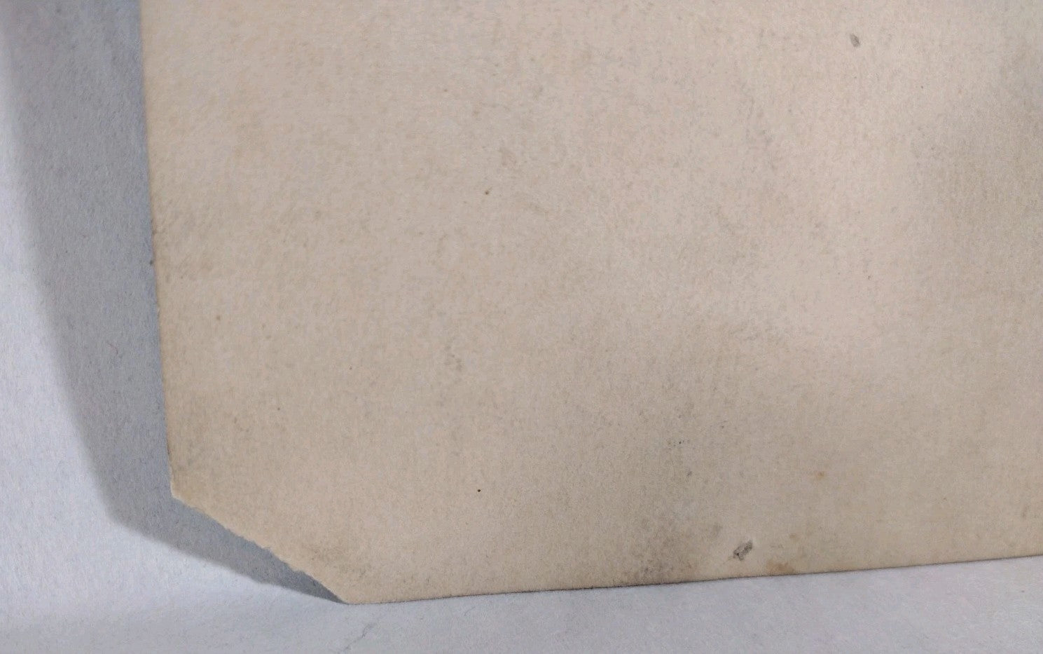 Theda Bara Vamp Silver Screen Actress 6 X 9" 1917 Sepia Photo Signed W JSA COA