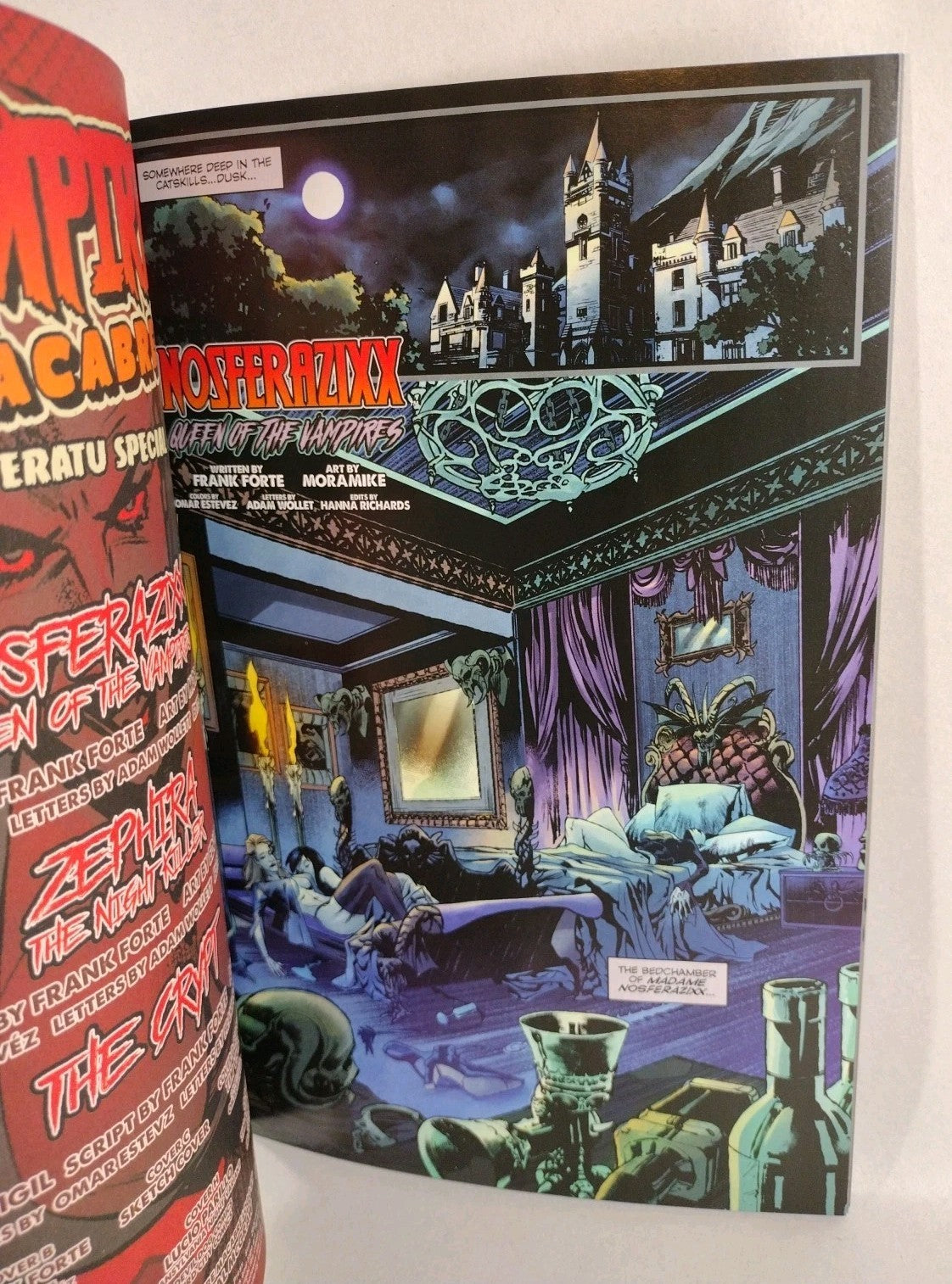Vampire Macabre Noseratu Special 1 (2022) Asylum Press Blank Sketch Cover Comic