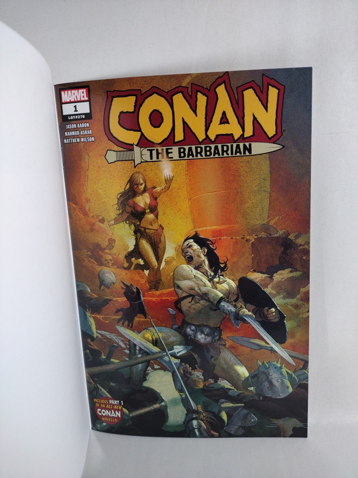 Conan The Barbarian #1 (2019) Marvel Comic Blank Sketch Cover New NM