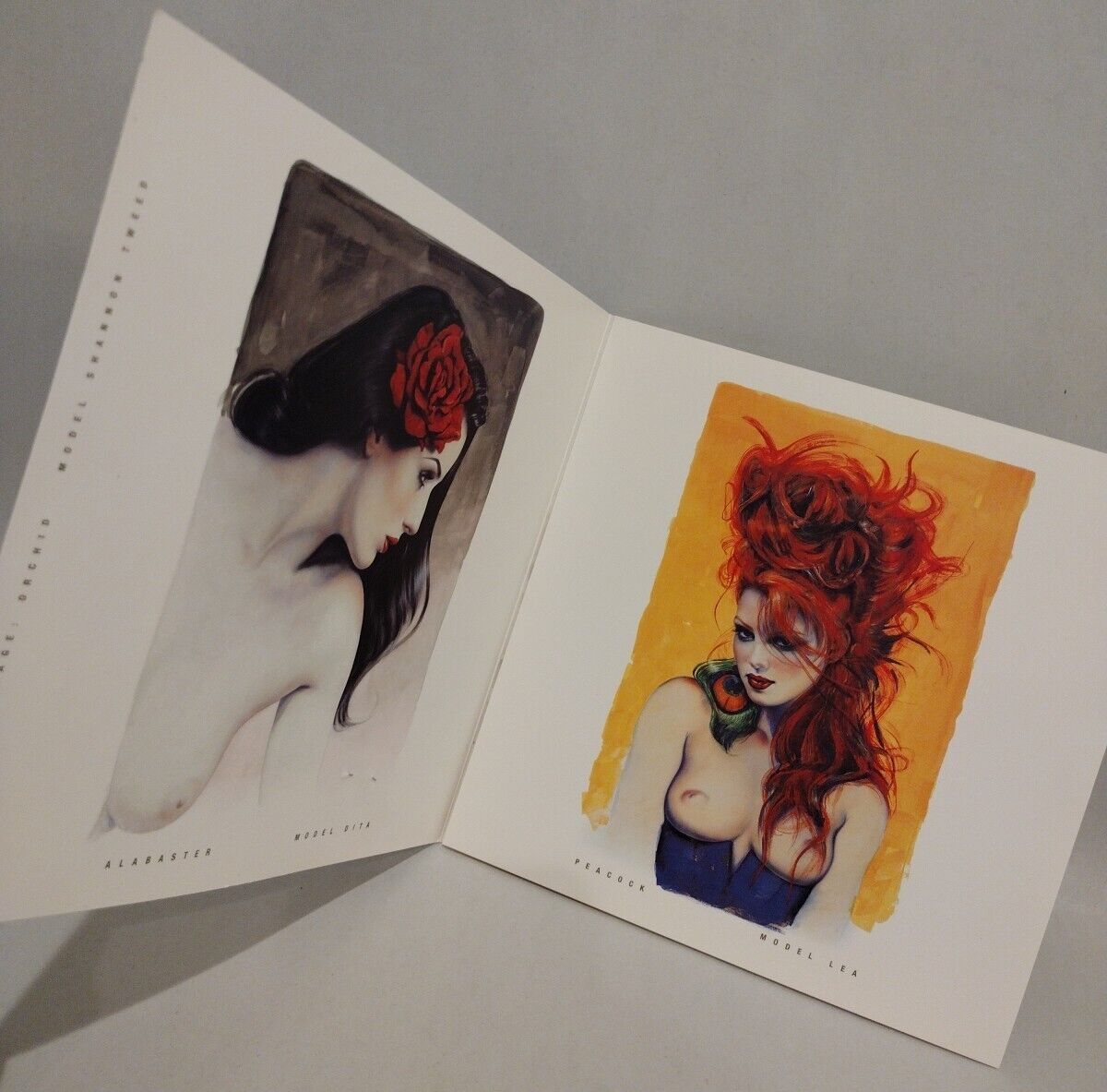 Olivia Cheesecake Chronicles (2000) Tamara Gallery Exhibition Booklet W Sticker