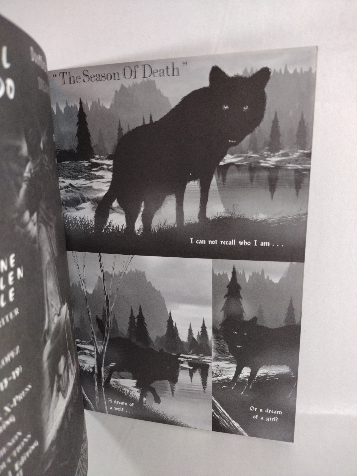 Dream Wolves #8 (1995) Cover A & Gold Edition Daniel Presedo