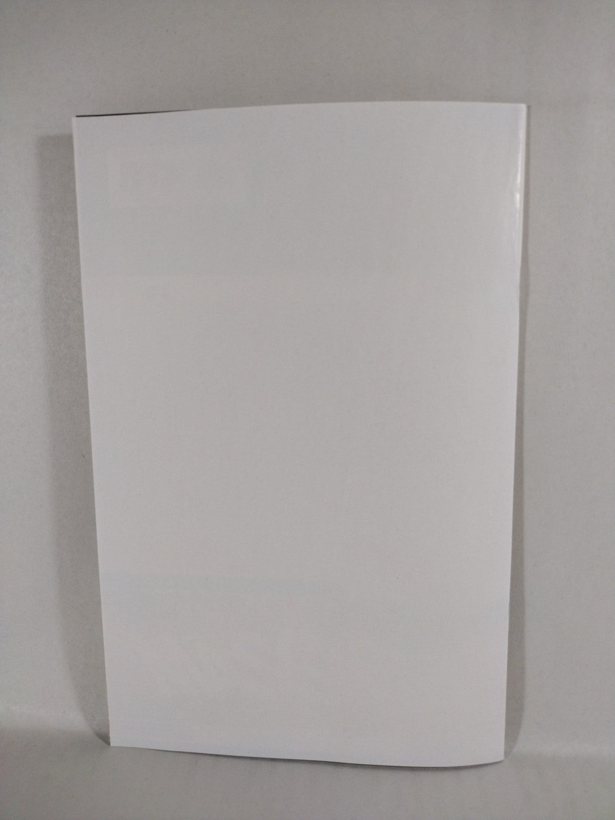 THE PLOT HOLES #1 (2023) Whatnot Massive Blank Sketch Variant Cover Comic NM