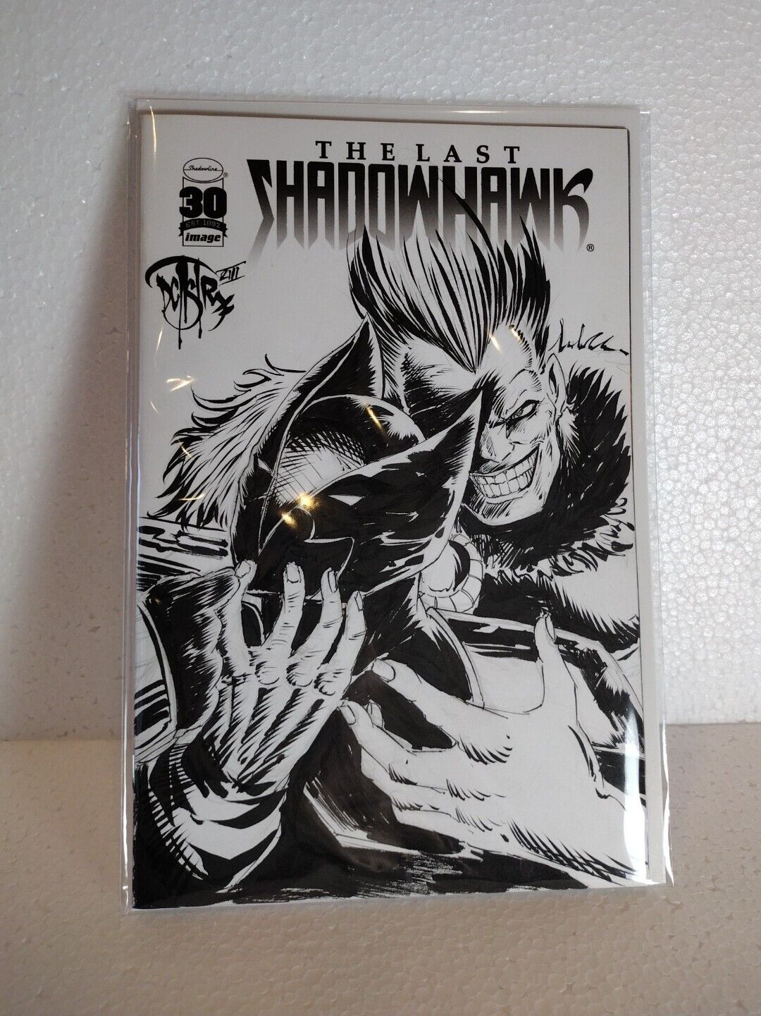 THE LAST SHADOWHAWK #1 Blank Cover Variant Image Comic w Original DCastr Art COA