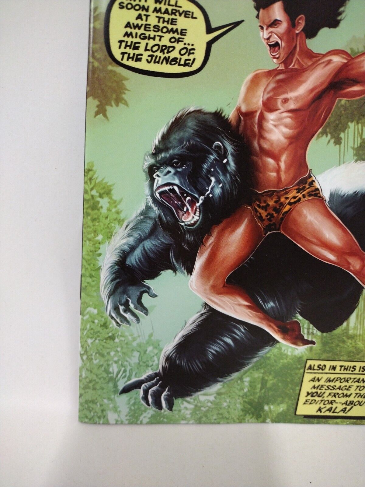 Lord Of The Jungle 1 (2022) Dynamite Comic Amazing Fantasy Homage Variant Cover