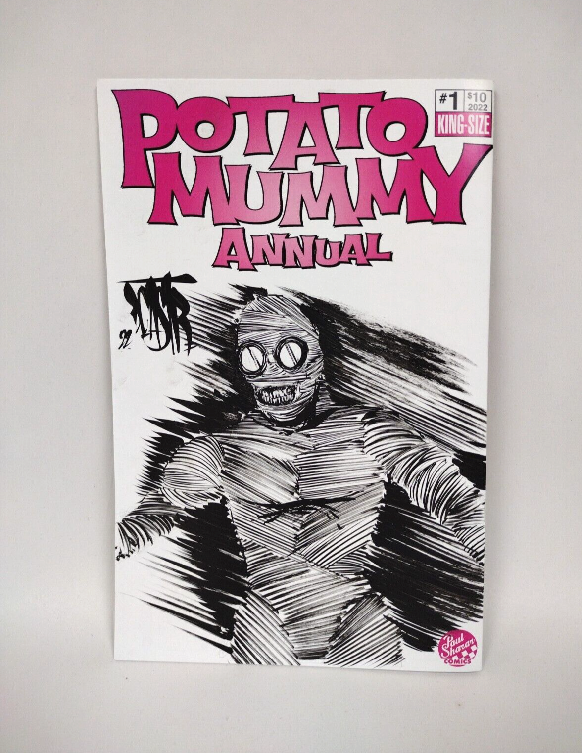 POTATO MUMMY ANNUAL #1 Blank Cover Variant Original DCastr Art COA