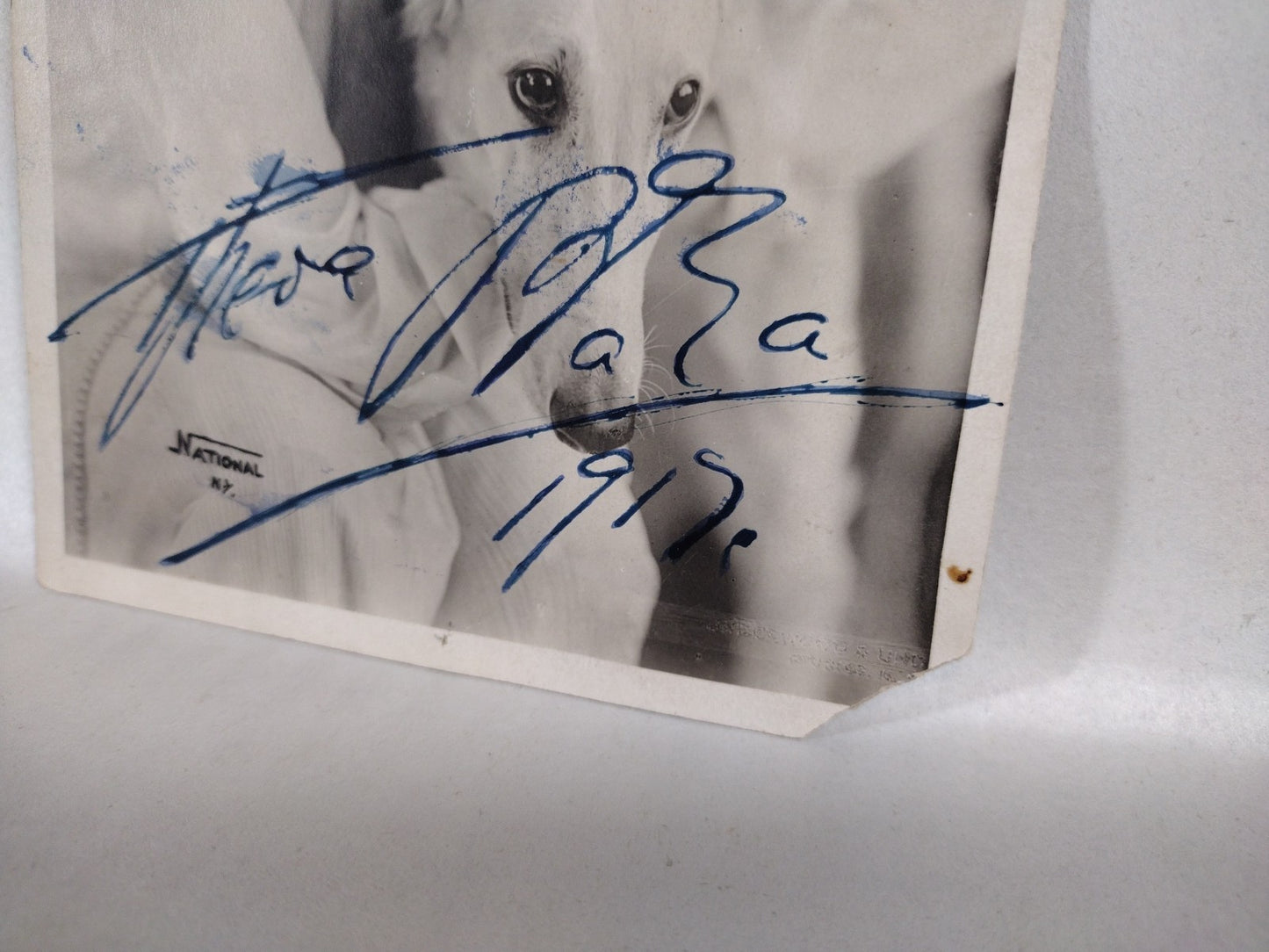 Theda Bara Vamp Silver Screen Actress 6 X 9" 1917 Sepia Photo Signed W JSA COA