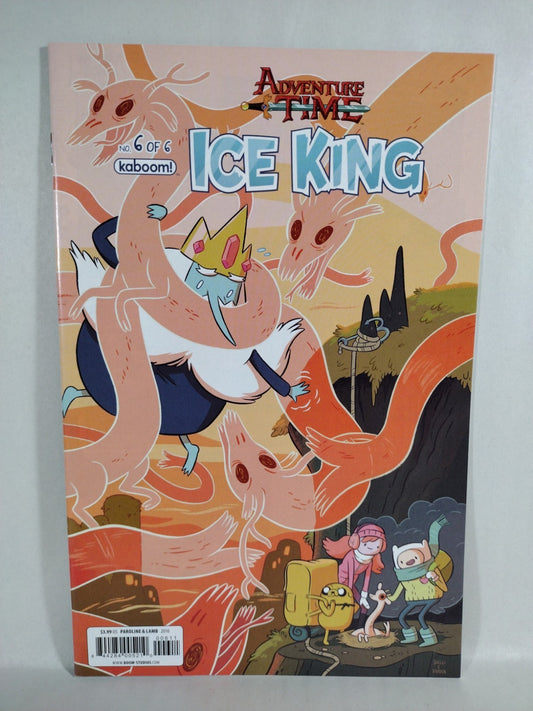 Adventure Time Ice King #6 (2016) Boom Comic Paroline & Lamb Cover A NM