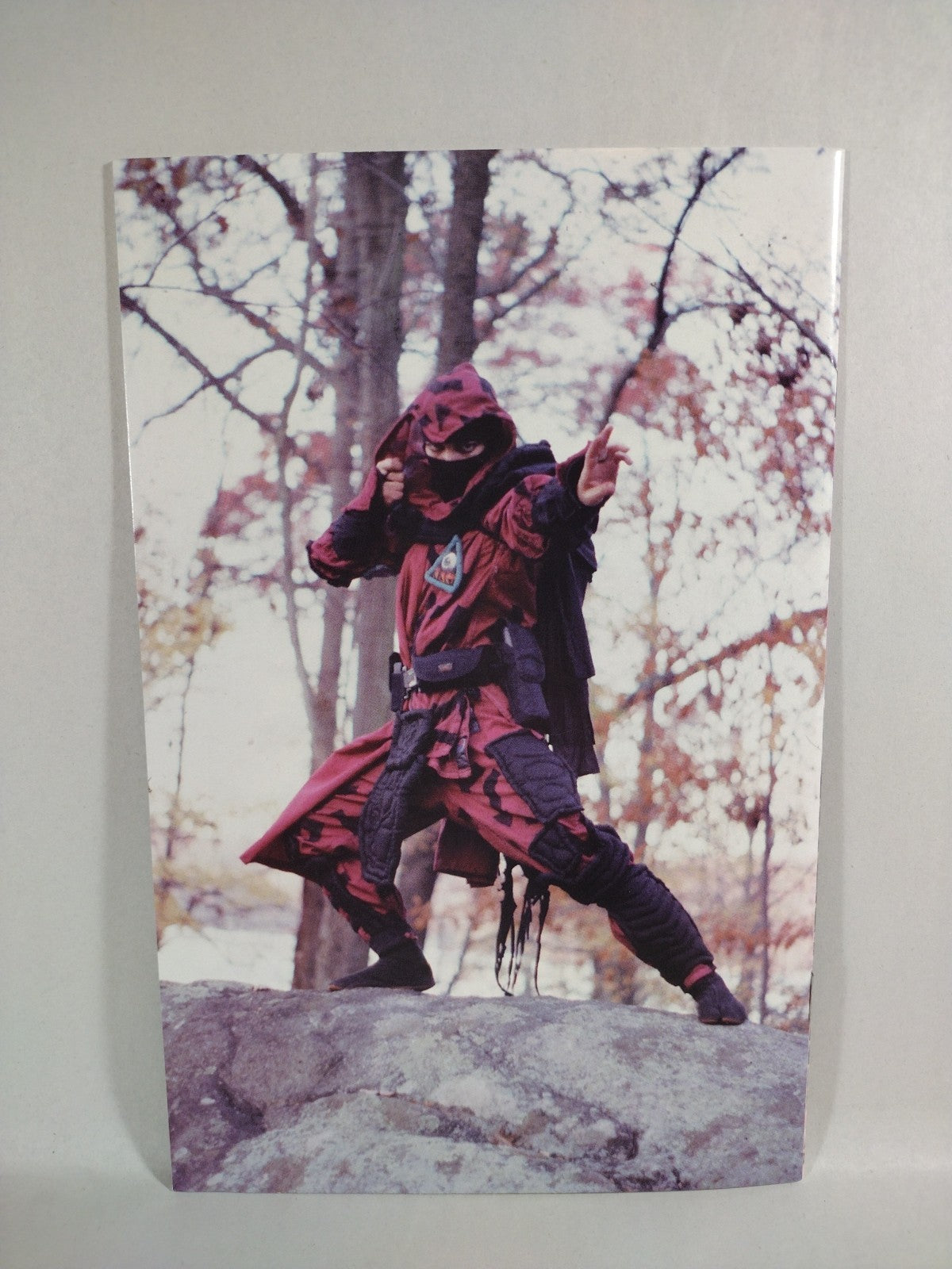 Animal Mystic (1995) Sirius Comic Lot Set #1 2 3 4 Dark One Greg Williams VF-NM