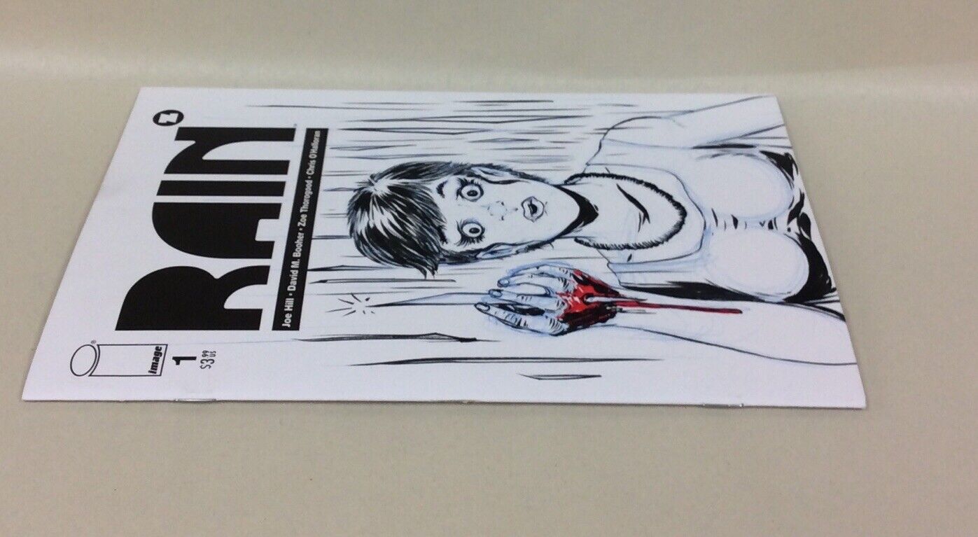 Rain #1 (2022) Blank Cover Variant Comic W Original Art DCastr COA 292