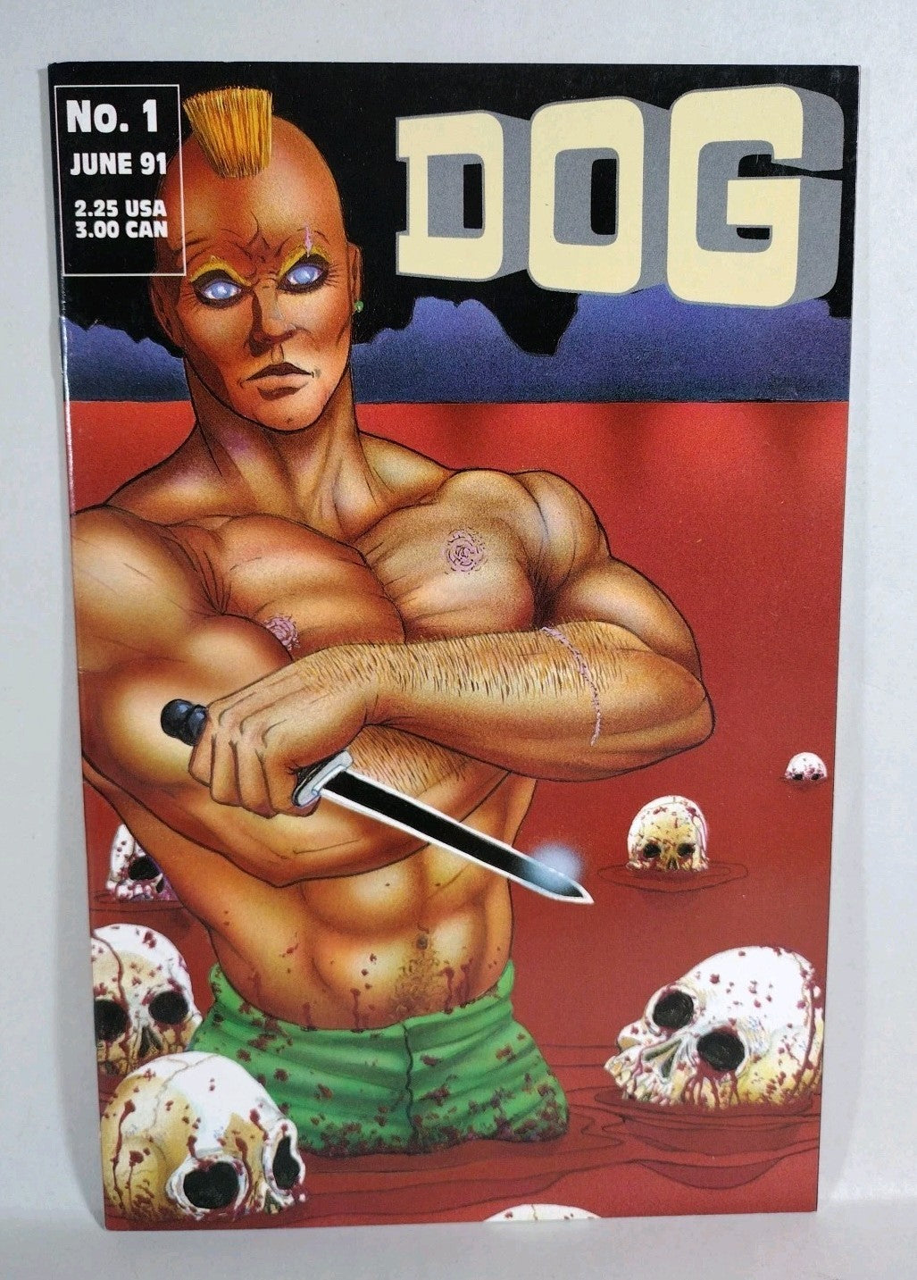 Dog #1 (1991) Rebel Studios Comic Joe Vigil Outlaw 1st Print VF