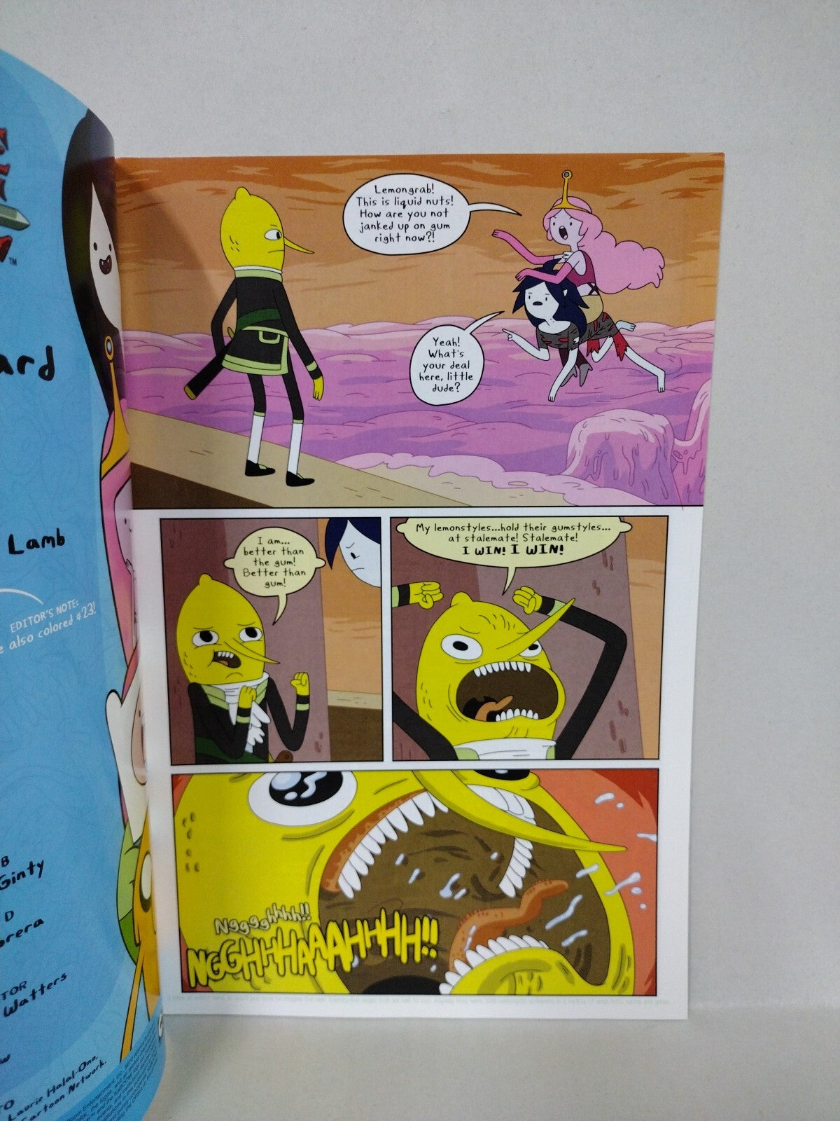 Adventure Time #24 (2014) Boom Studios Comic Kevin Stanton Cover C VF