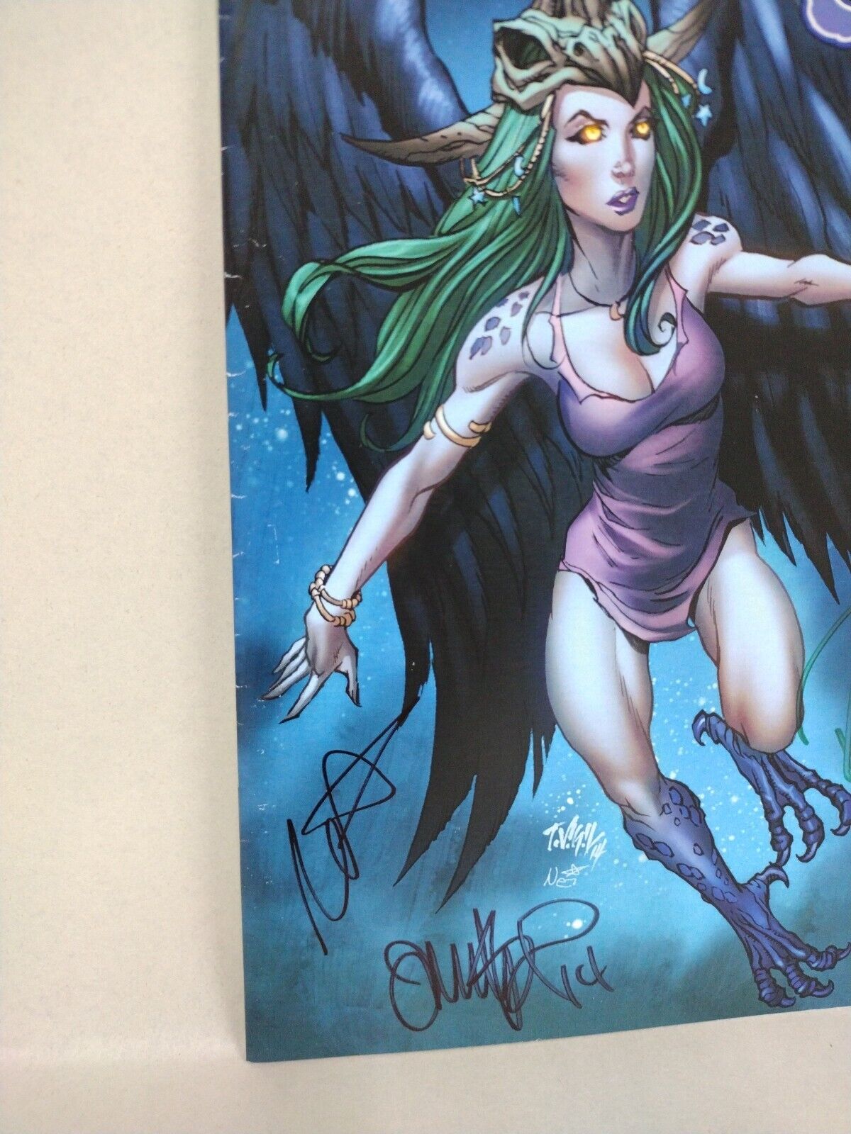 Secret Life Of Crows: Feather Into Flame (2014) Elysium Comic Signed 3X NM