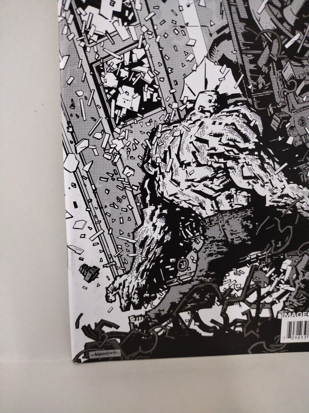 SAVAGE DRAGON #161 (2010) Image Comic First Print Low Print Run Erik Larsen