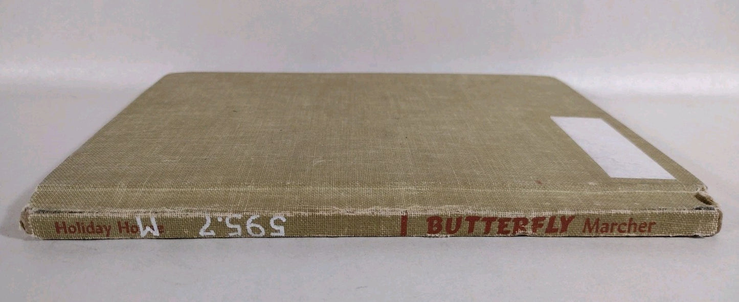 Monarch Butterfly 1960 Discarded Library Book W Original Dave Castr Color Art