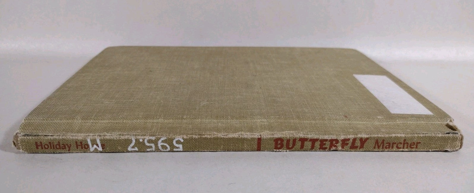 Monarch Butterfly 1960 Discarded Library Book W Original Dave Castr Color Art