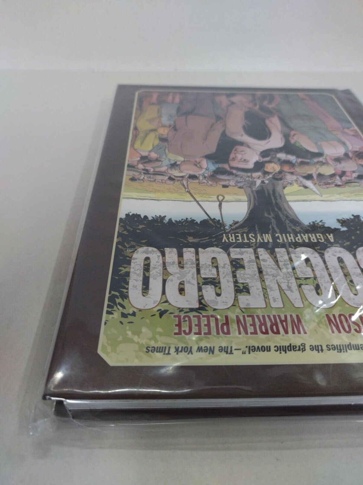 Incognegro A Graphic Mystery (2020) Dark Horse HC Mat Johnson Warren Pleece New 