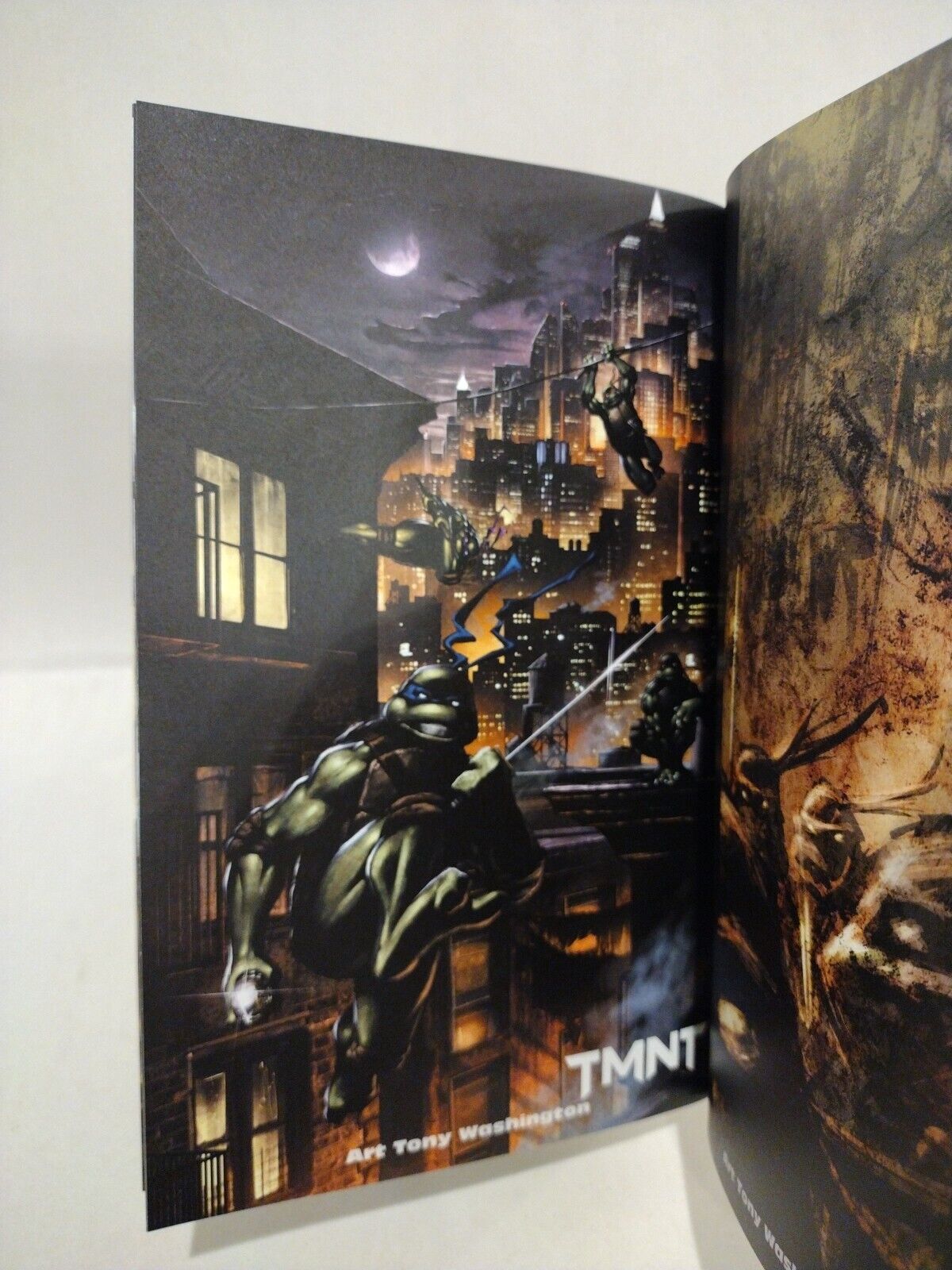 Tony Washington 2009 Art book Ashcan TMNT Dragon Slayer VF-NM