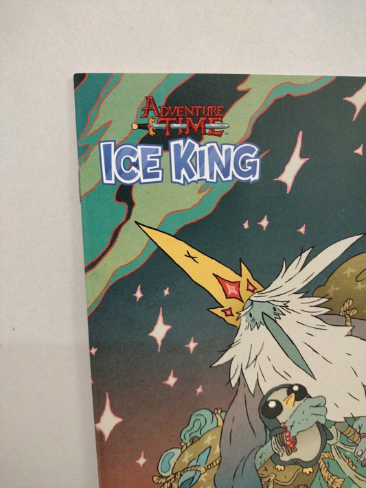 Adventure Time Ice King #6 (2016) Boom Comic Guillaume Singelin Variant NM