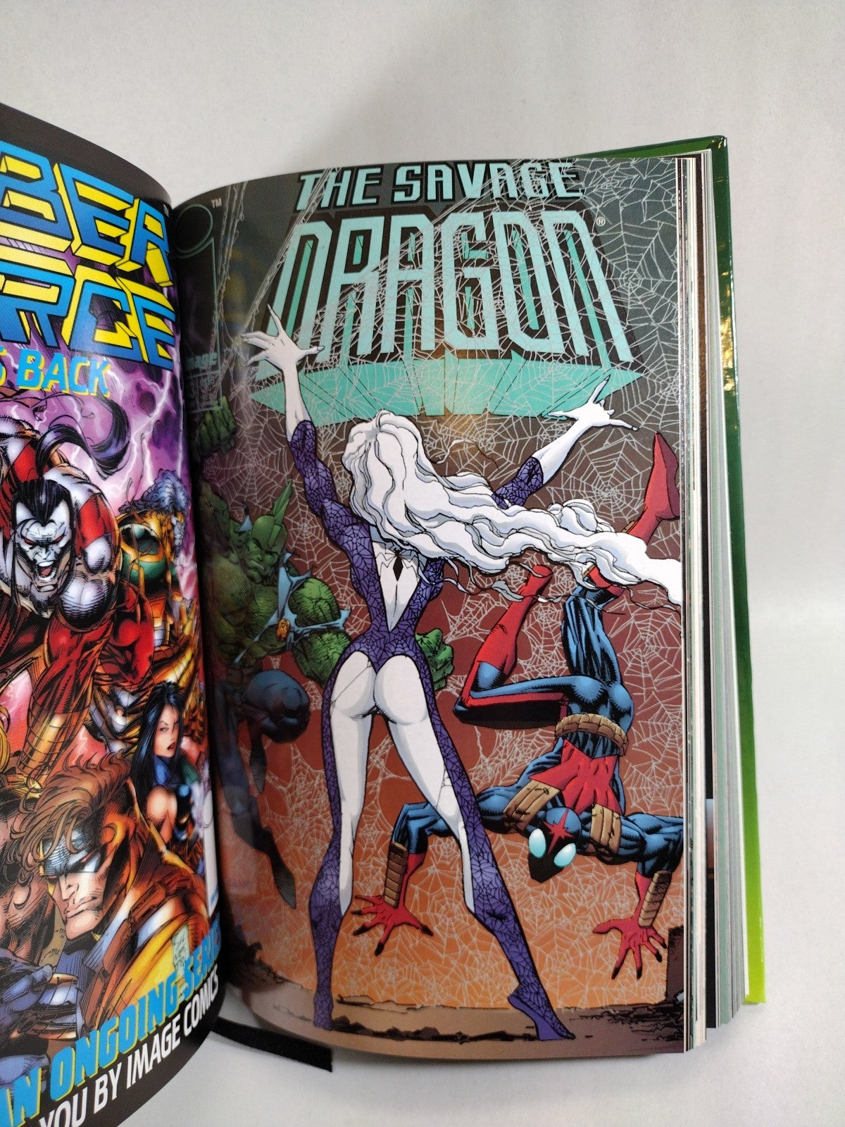 Savage Dragon Omnibus Savage Edition (1992) Image Custom Bound Comic HC W DJ