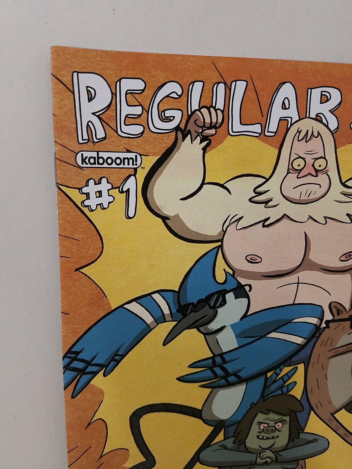 Regular Show #1 (2013) Sina Grace Hastings Variant NM Boom Cartoon Network