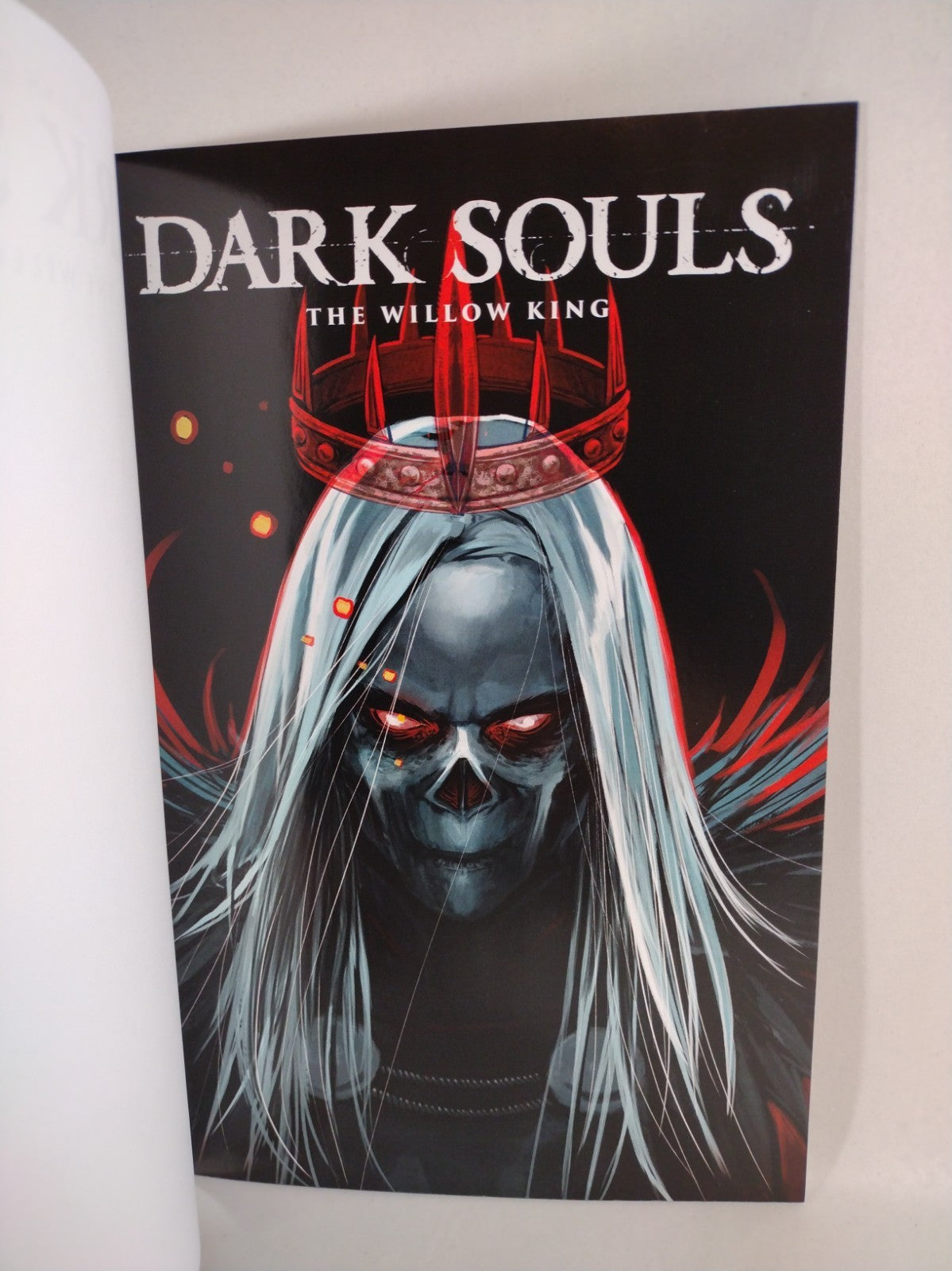 Dark Souls The Willow King #1 (2024) Titan Comics Sketch Cover Variant Comic NM