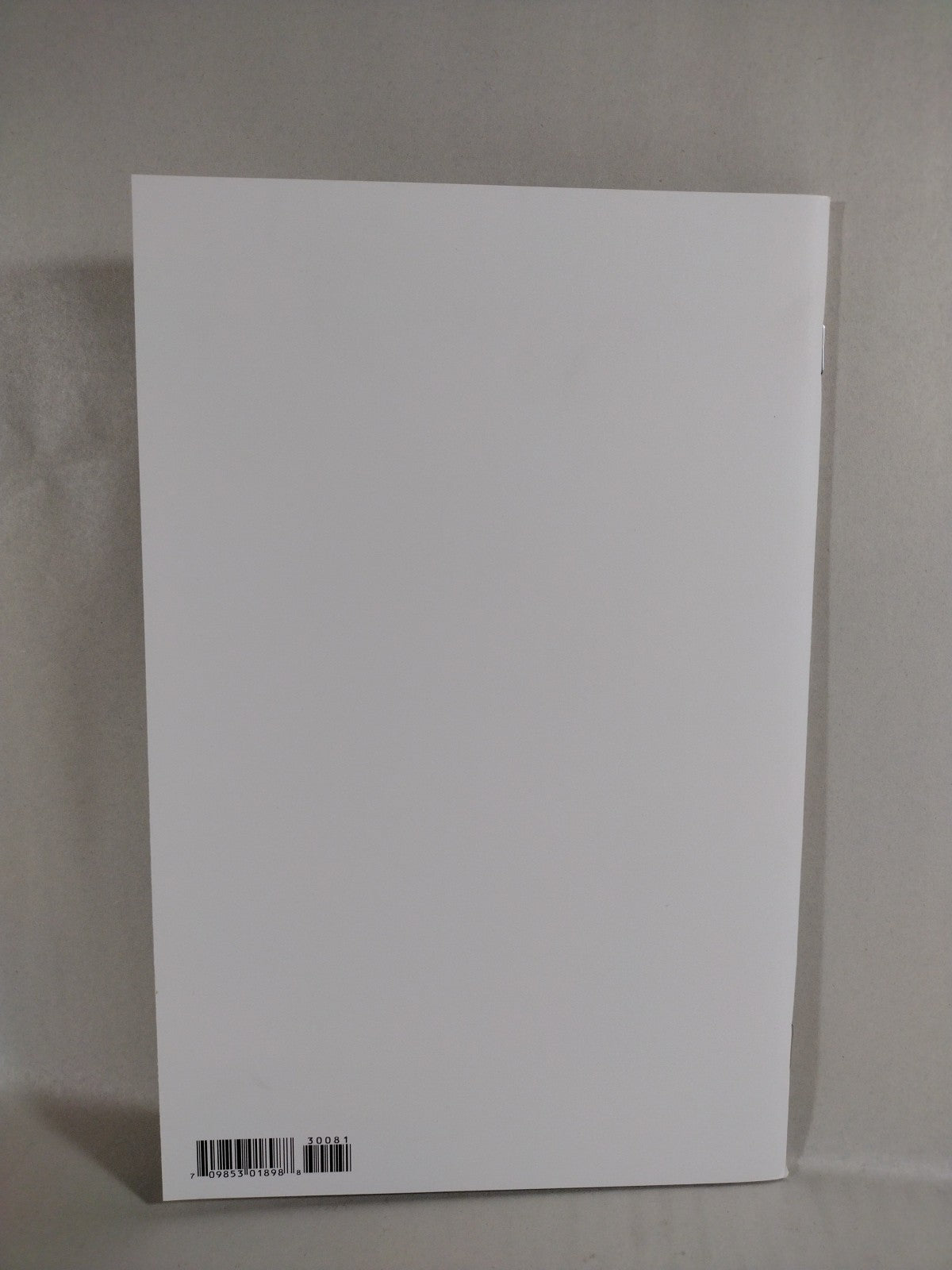 Spawn #300 (2019) Image Comic Blank Sketch Variant Cover Double Size Issue NM