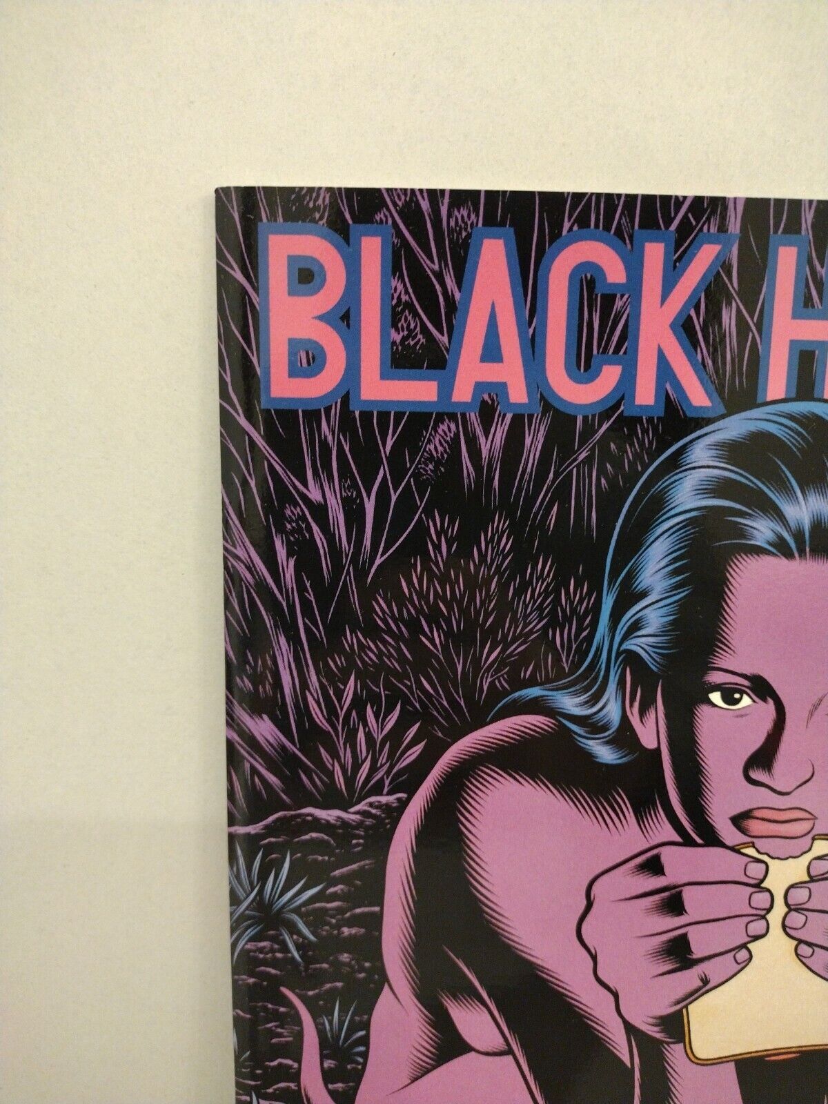 Black Hole #4 (1997) Kitchen Sink Fantagraphics Charles Burns Comic 1st Print 