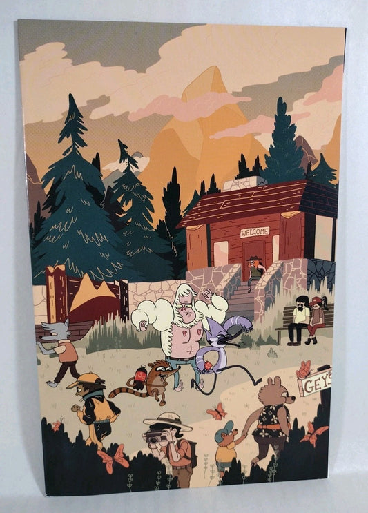 Regular Show Skips #1 (2013) Boom Virgin Variant Comic VF-FN Cartoon Network