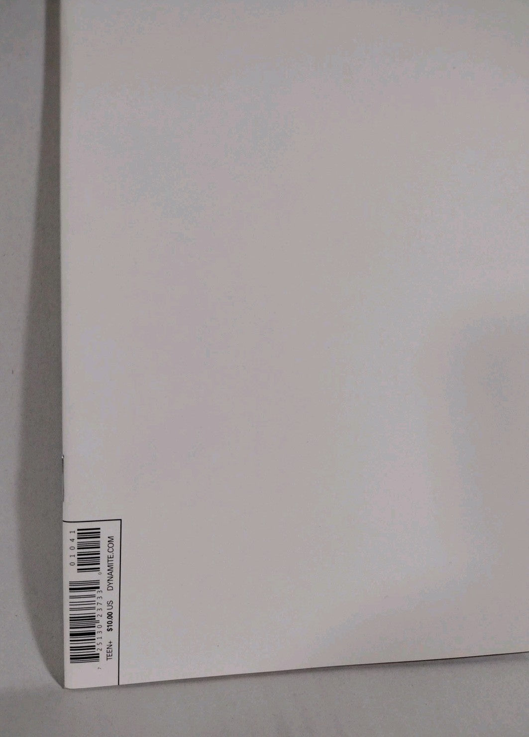 Red Sonja Conan #1 (2015) Dynamite Dark Horse Blank Sketch Variant Cover Comic