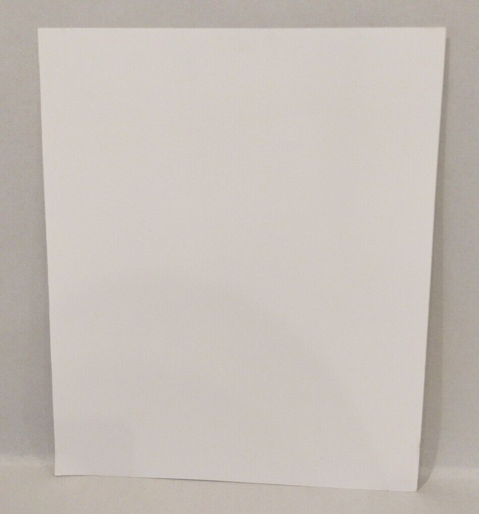 Roach Motel (2009) Comic Zine W Original 9 X 12" Inked Art Brian Oliveira