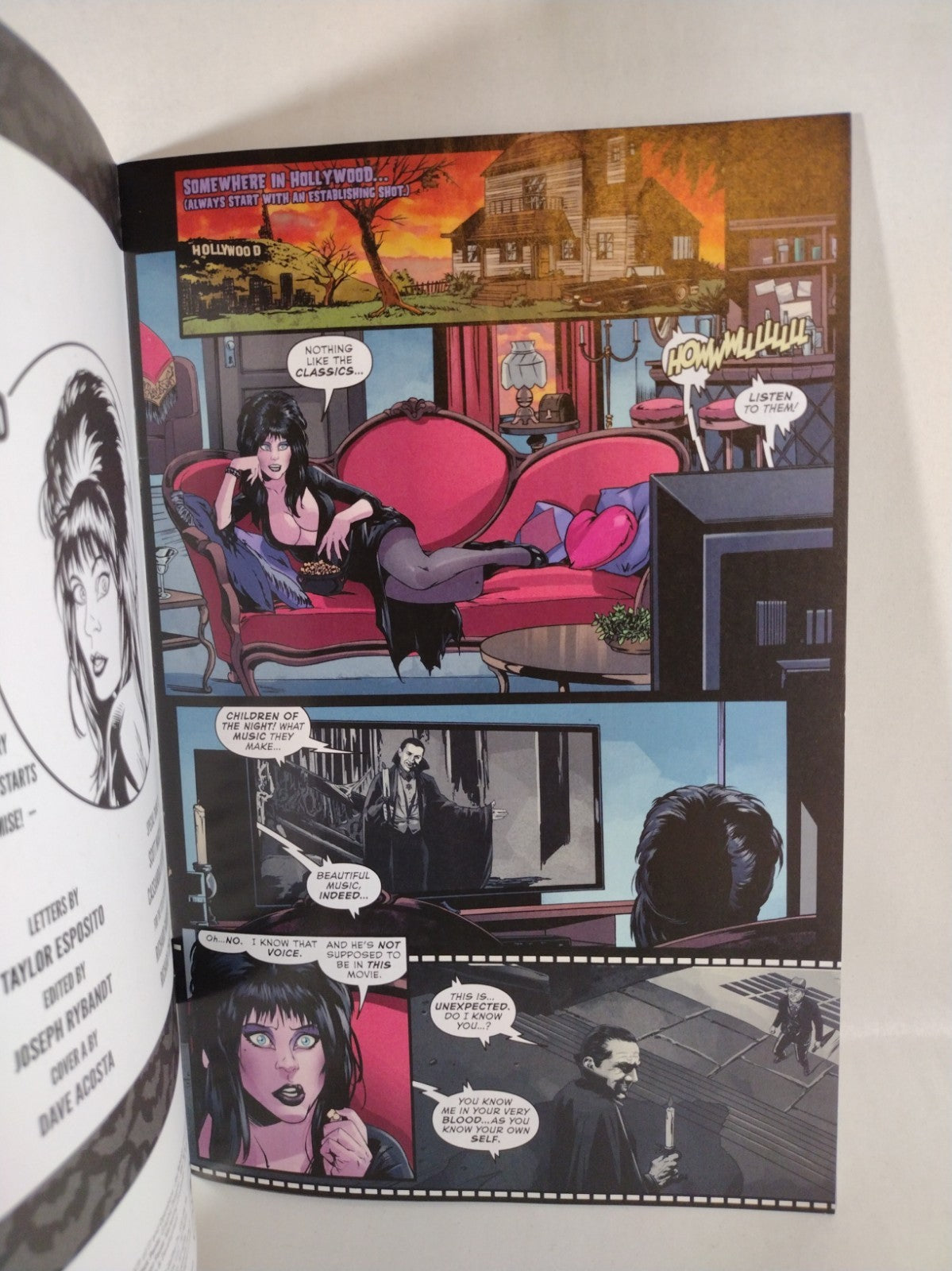 Elvira In Monsterland #1 (2023) Dynamite Blank Sketch Variant Cover Comic New NM