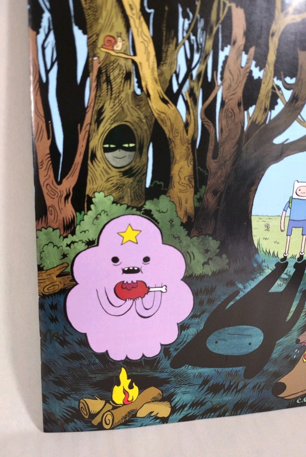 ADVENTURE TIME #1 (2025) Cartoon Network Oni Press Cover J 1:20 Caroline Cash