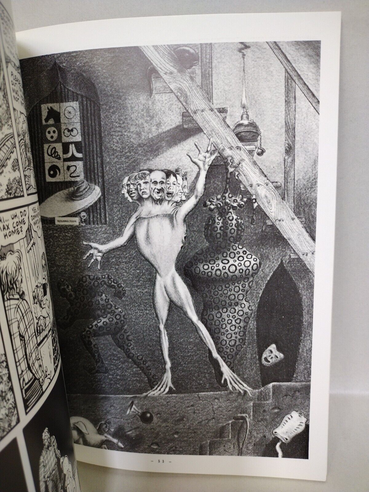 The Book of Jim (1993) Fantagraphics SC Artbook Jim Woodring Surrealism