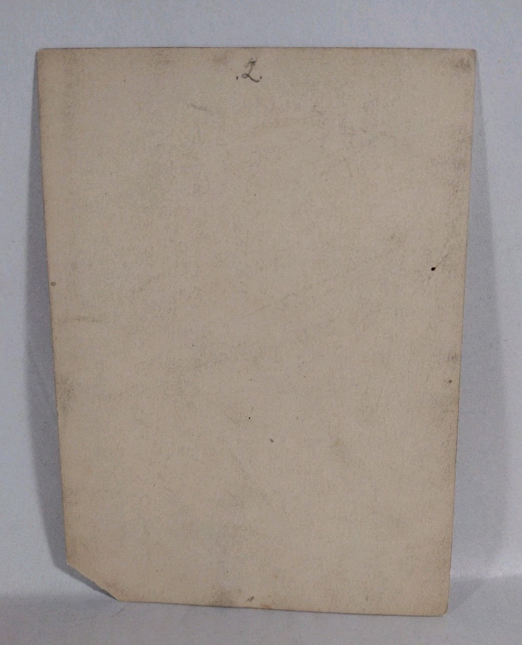 Theda Bara Vamp Silver Screen Actress 6 X 9" 1917 Sepia Photo Signed W JSA COA