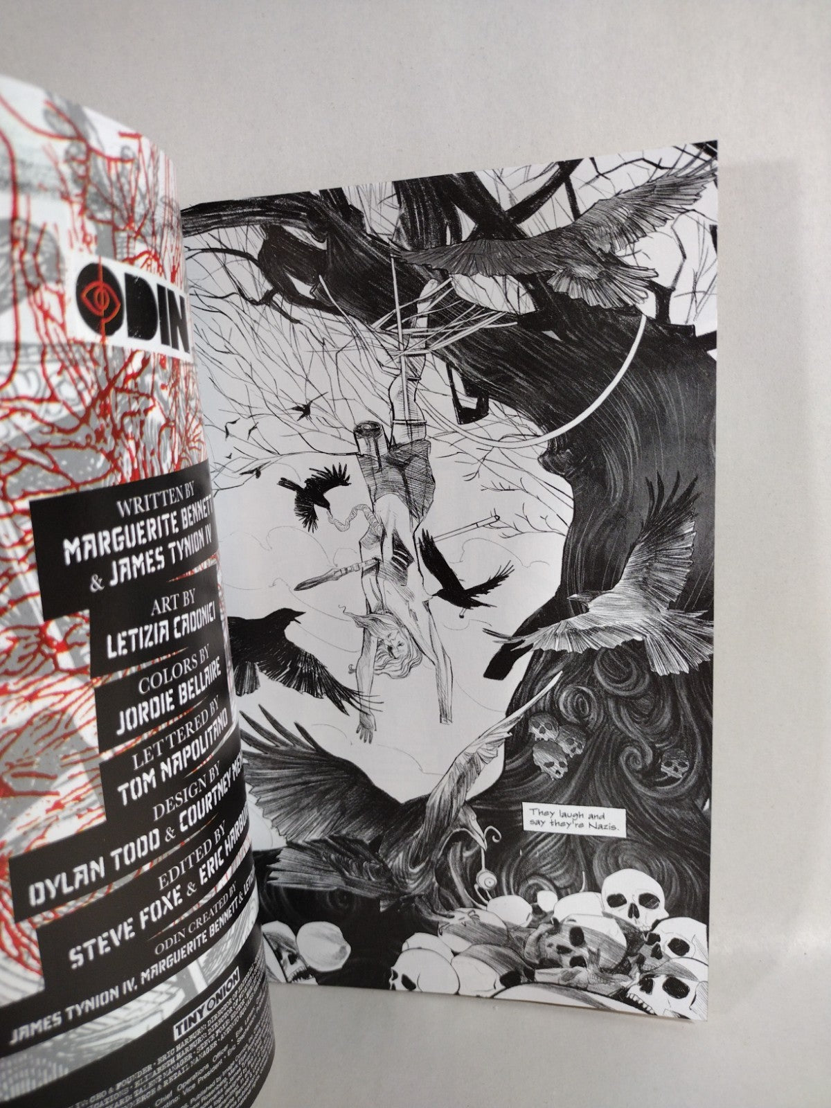 Odin / If Destruction Be Our Lot (2026) Image Comic Preview Ashcan Flipbook
