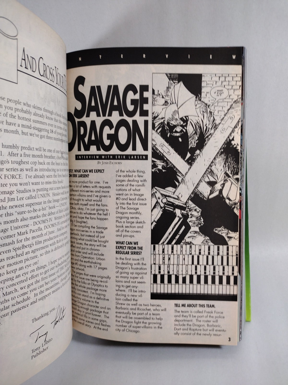 Savage Dragon Omnibus Savage Edition (1992) Image Custom Bound Comic HC W DJ
