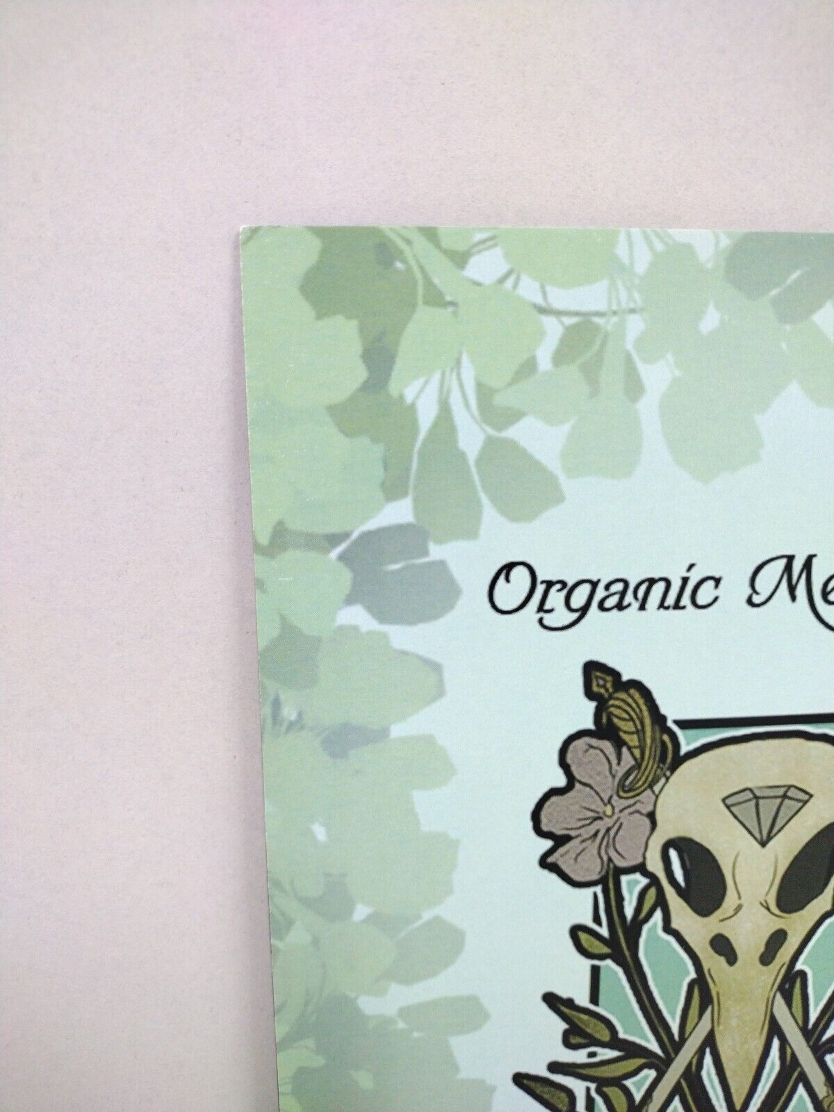 Secret Life Of Crows: Feather Into Flame (2014) Elysium Comic Signed 3X NM