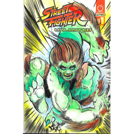 Street Fighter Unlimited #1 Blank Variant Comic W Original DCastr Blanka Art COA