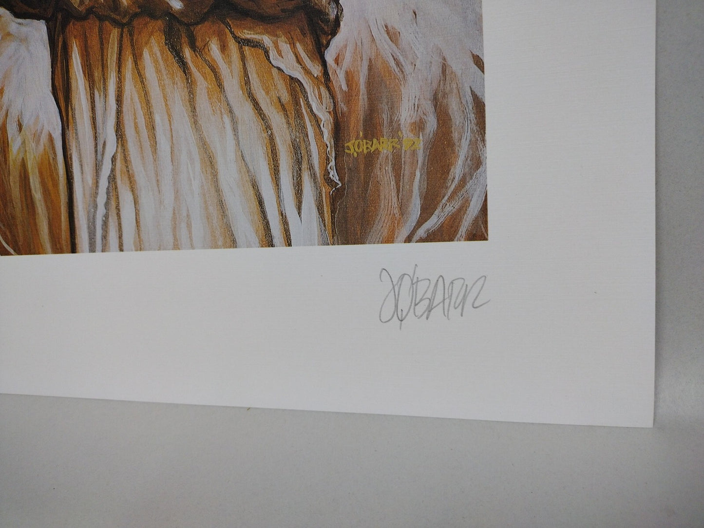 The Crow Color Portfolio 6 Pc 17X20" Linen Print Set Signed & #'d 747/1500