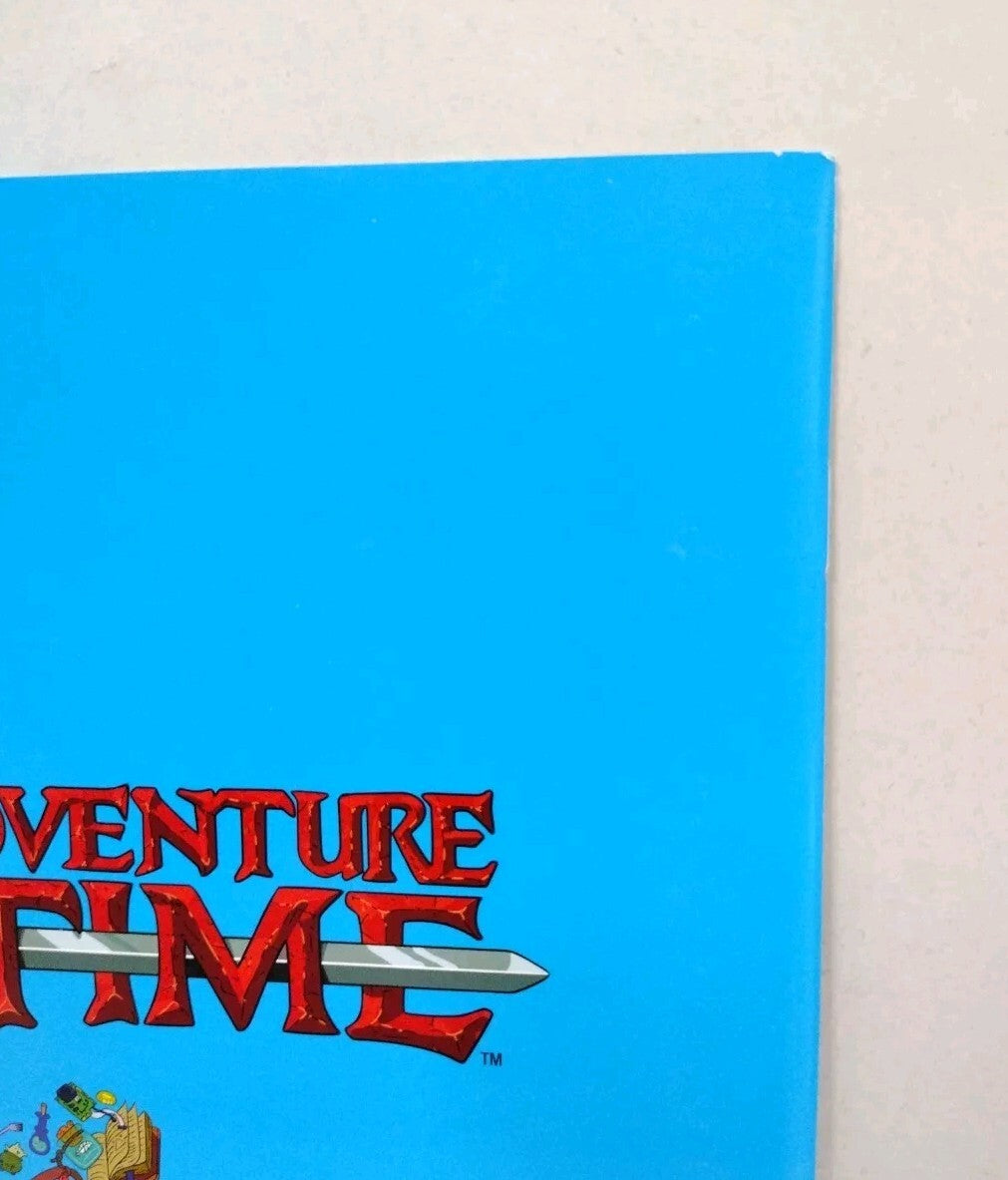 Adventure Time #24 (2014) Boom Studios Comic Kevin Stanton Cover C VF