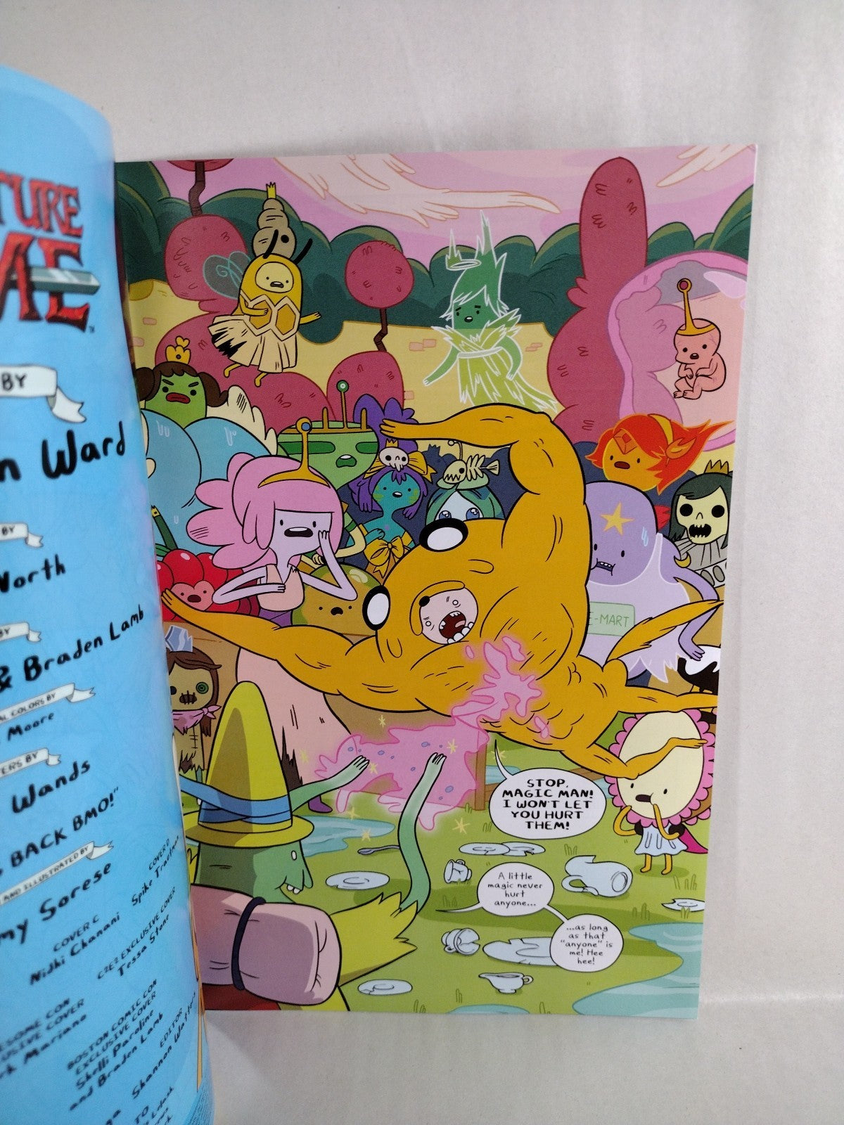 Adventure Time #15 (2013) Boom Comic Mike Holmes Cover A VF-NM