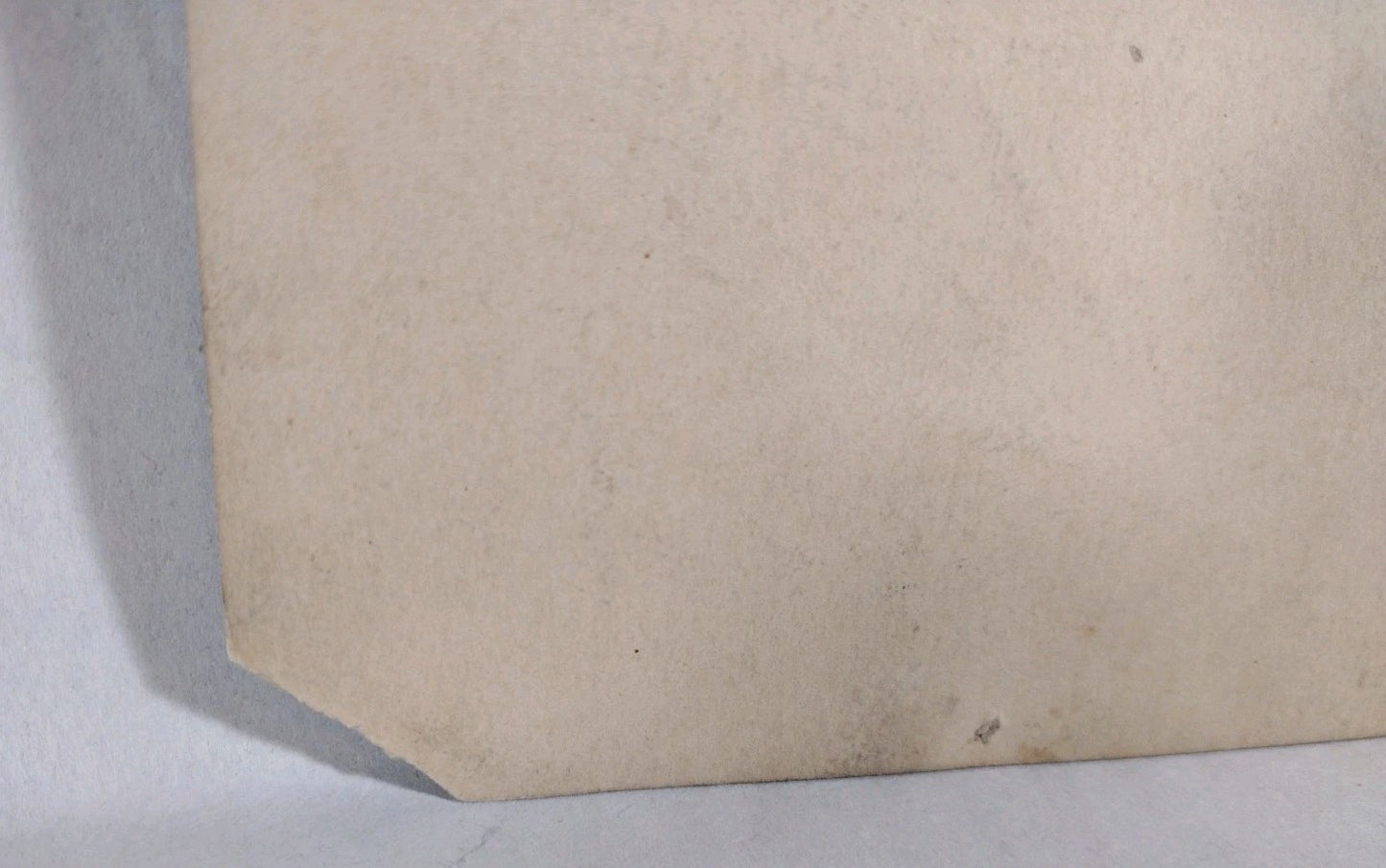 Theda Bara Vamp Silver Screen Actress 6 X 9" 1917 Sepia Photo Signed W JSA COA