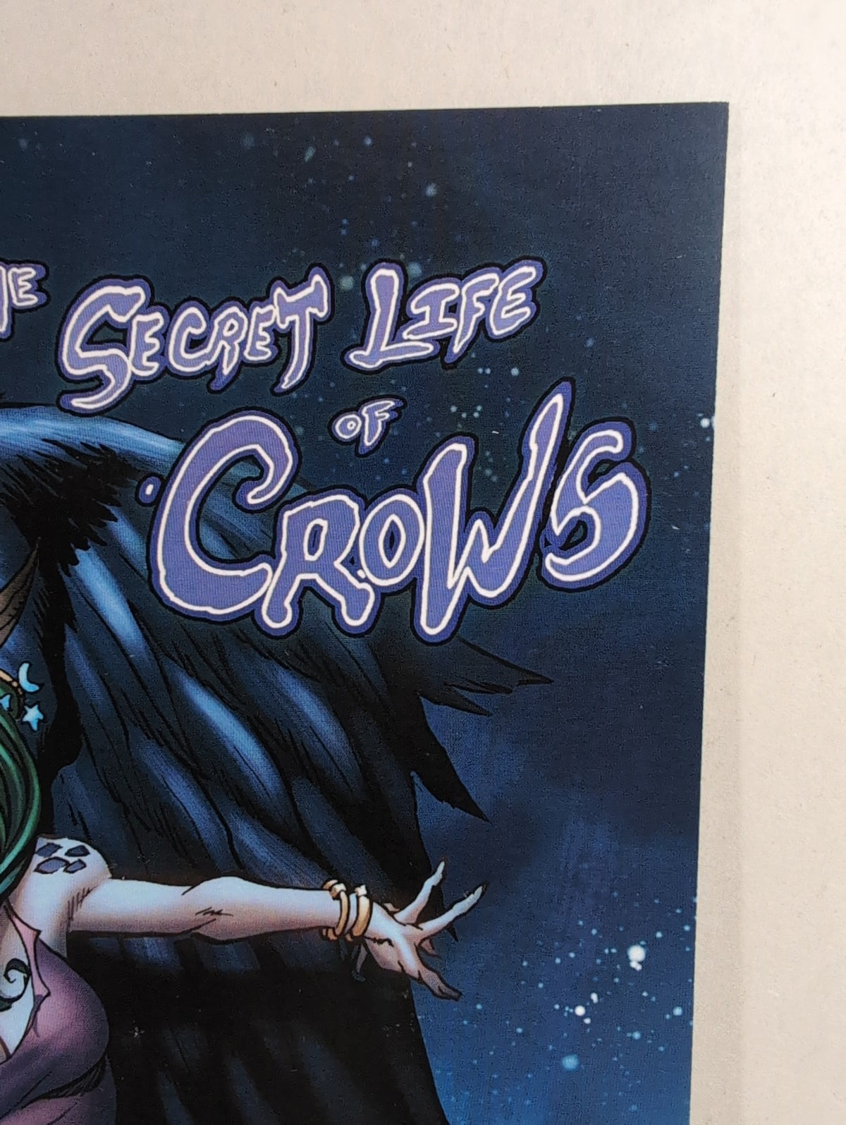 Secret Life Of Crows: Feather Into Flame (2014) Elysium Comic Signed 3X VF